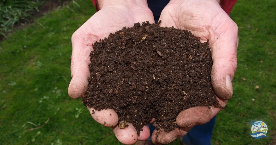 Abonos y Fertilizantes 