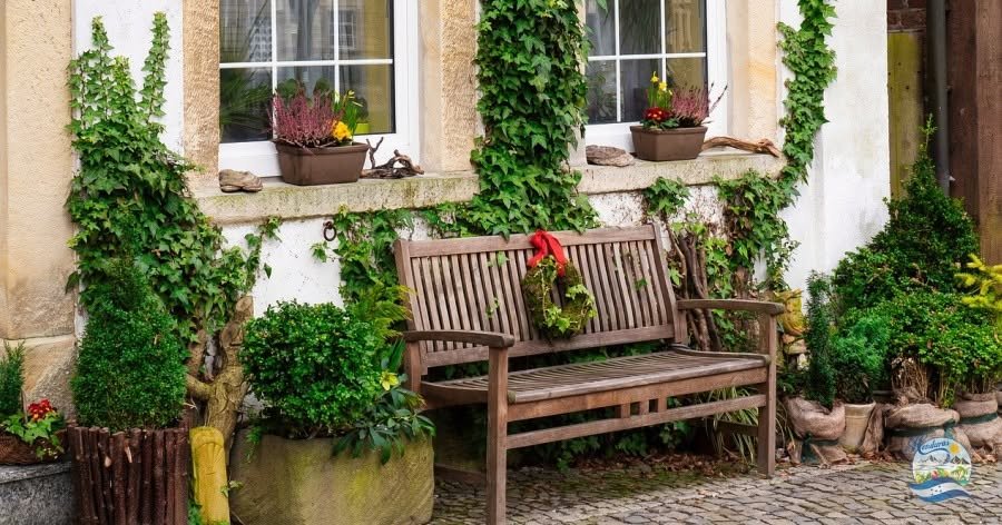 Cómo integrar jardines verticales en diseños urbanos