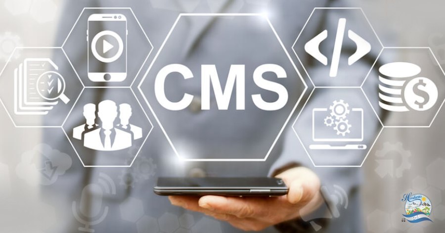 CMS (Content Management System) o gestor de contenidos