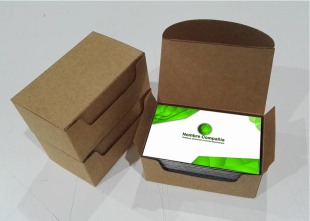 paquete tarjetaspresentacion