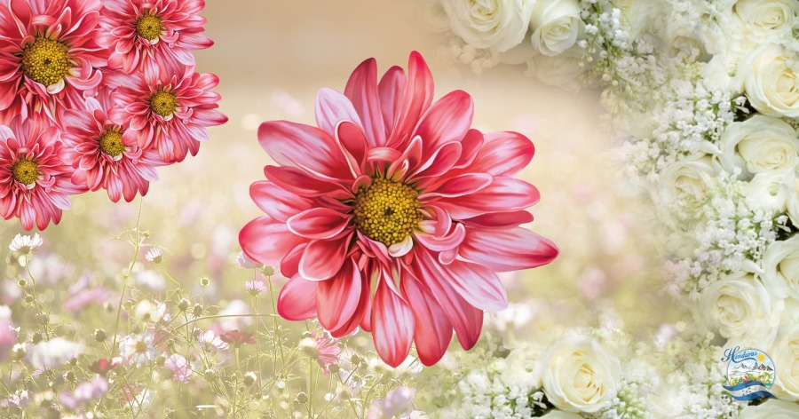 Diseños de Banners Para Floristerías, Colección 1