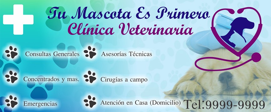 1 banner veterinaria 2