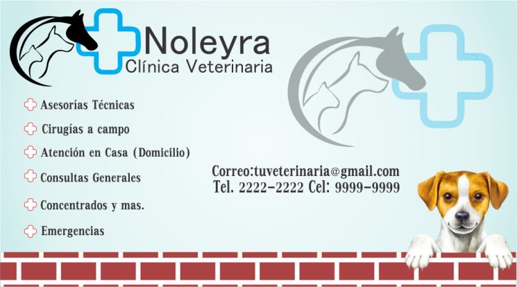1 tarjetas presentacion veterinarias 7