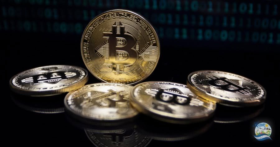 Protegiendo criptomonedas, NFT y datos personales