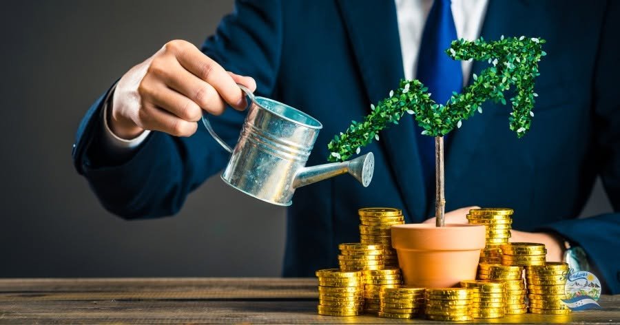 ¿Qué es la inversión y cuál es su importancia? Tipos de inversión 