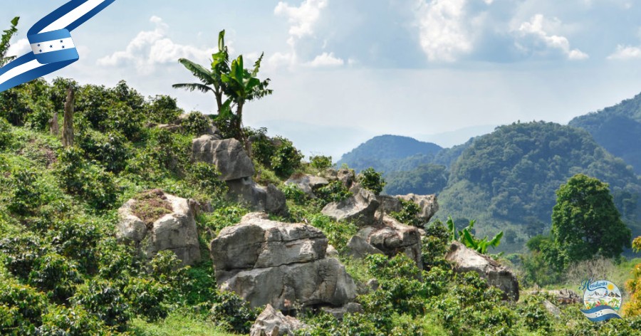 Cordillera del Norte en Honduras