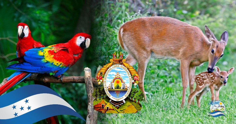 Los Símbolos Patrios Nacionales de Honduras