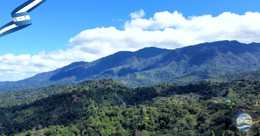 Parque Nacional Montaña de Comayagua, PANACOMA