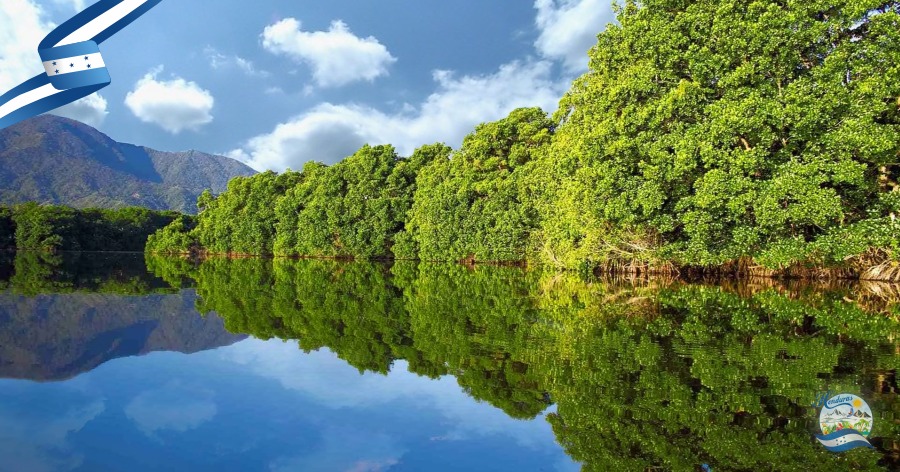 Parque Nacional Warunta