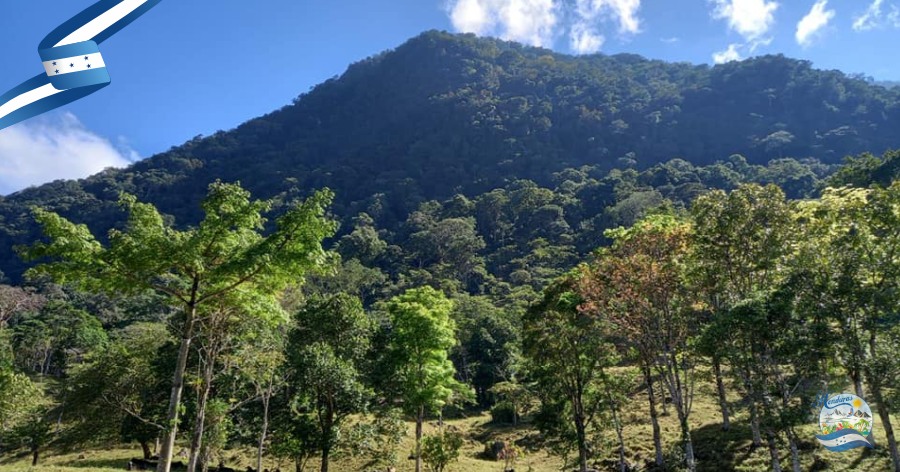 Parque Nacional Pico Pijol