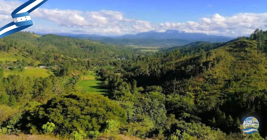 Reserva Biológica Misoco