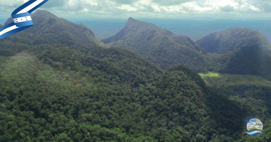 Biósfera Tawahka Asangni