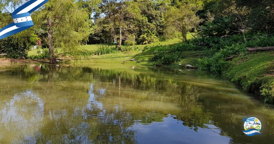 Finca Santa Emilia