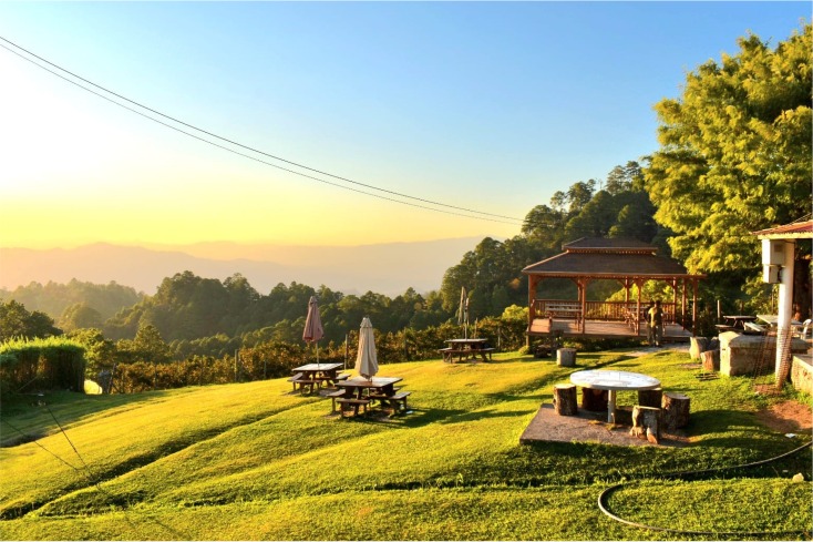 Finca La Cantadora