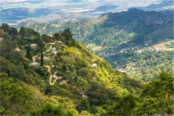 Parque Nacional La Tigra