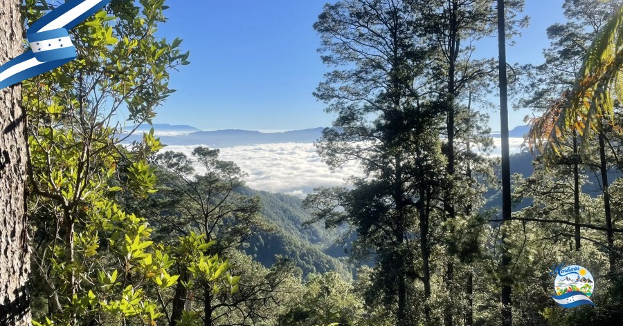 Celaque, la montaña que nos lleva al punto más alto de Honduras
