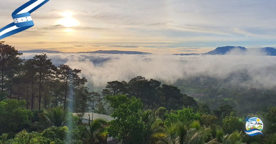 Explorando el Parque Nacional Celaque: cumbre más alta y bosque nublado