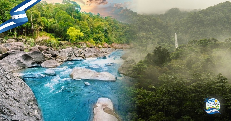 Explorando el Parque Nacional Pico Bonito: rutas y biodiversidad