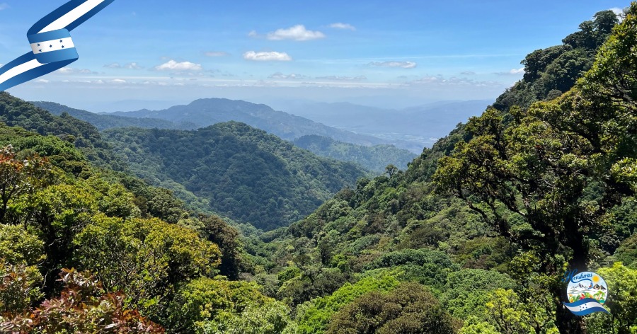 Parque Nacional La Tigra la joya verde
