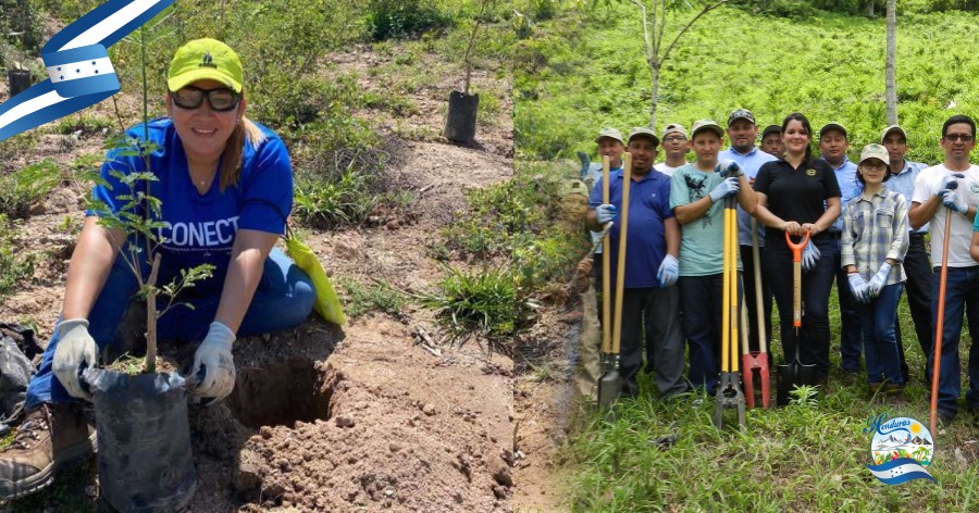 Proyectos de reforestación y voluntariado en parques nacionales de Honduras
