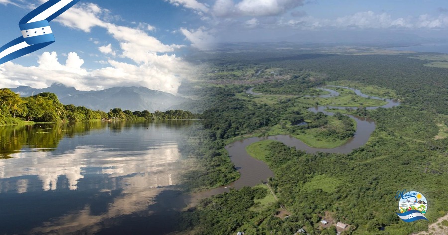 Que son las areas protegidas de Honduras