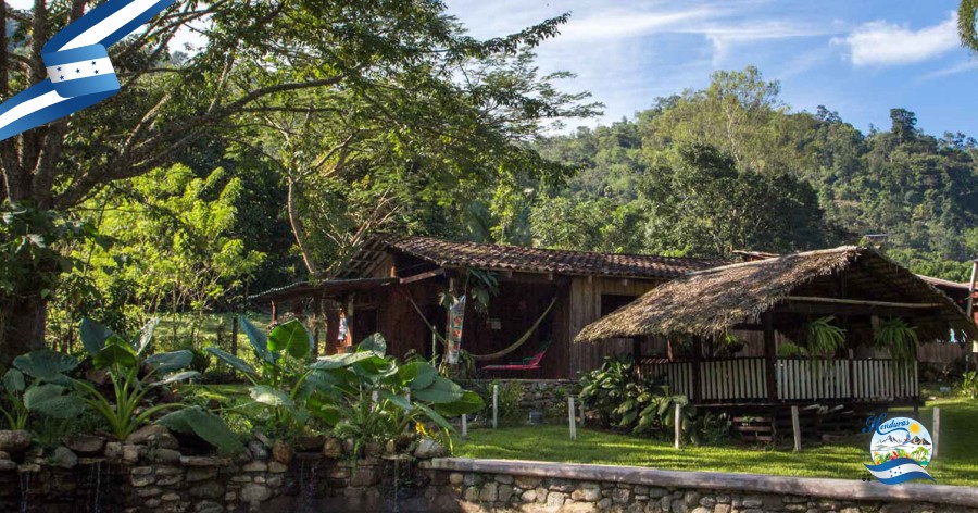 Luna Jaguar Hot Spring