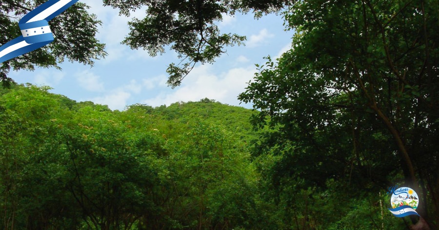 Cerro Palenque hermoso sitio arqueológico en Cortés