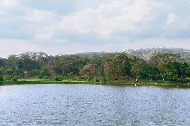 laguna ticamaya