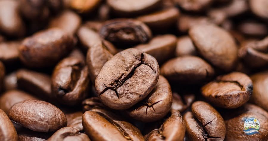 ¿El café instantáneo es Bueno o malo para tu Salud? Ventajas, propiedades y desventajas del CAFÉ INSTANTANEO