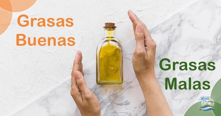 Grasas saludables y perjudiciales; conceptos y diferencias