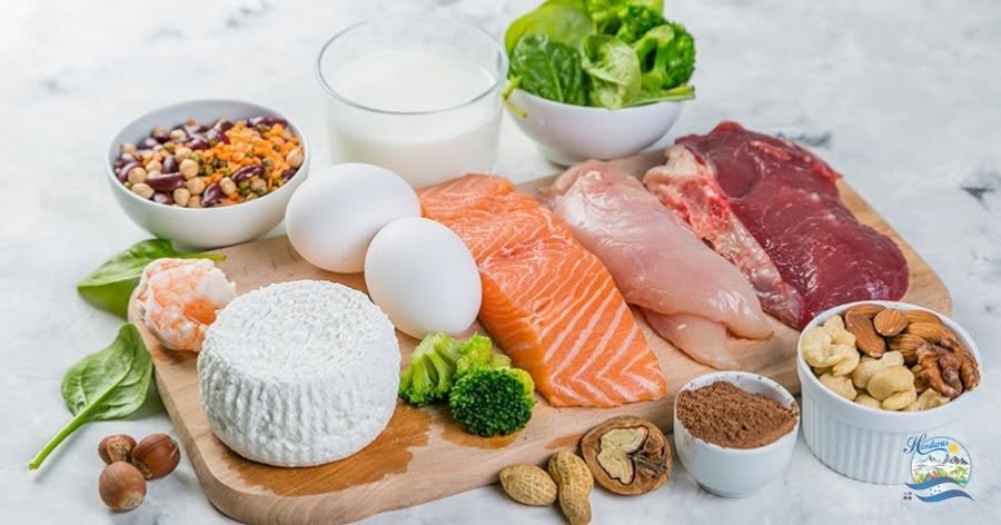 Tendencias en alimentos ricos en proteínas