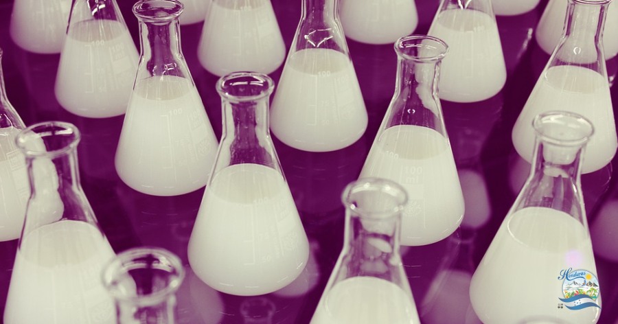 Ramas de la química y sus Conceptos